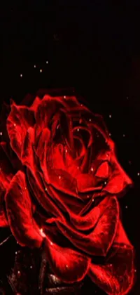 Add a touch of romance and magic to your phone with this stunning digital rendering of a red rose