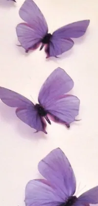 Looking for an eye-catching phone live wallpaper? Look no further! This stunning design features a swarm of purple butterflies fluttering gracefully against a beautiful white backdrop