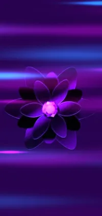 Flower Petal Purple Live Wallpaper