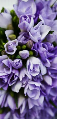 Flower Petal Purple Live Wallpaper