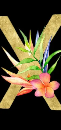 Flower Petal Terrestrial Plant Live Wallpaper