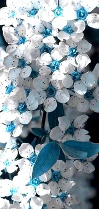 This live wallpaper showcases a close-up of a bunch of white flowers, depicted in digital art