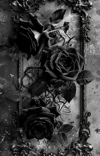 Flower Photograph Black Live Wallpaper