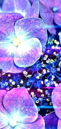 Flower Photograph Blue Live Wallpaper