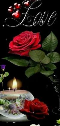 Flower Photograph Candle Live Wallpaper