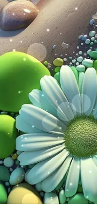 Flower Photograph Green Live Wallpaper