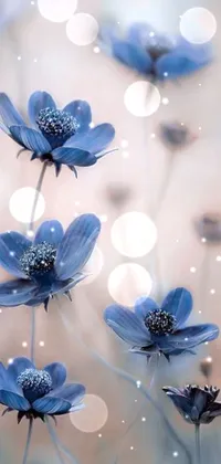 Flower Photograph Liquid Live Wallpaper