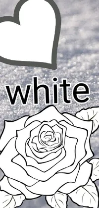 This phone live wallpaper showcases a white rose resting on a snow-covered ground, set against a white backdrop