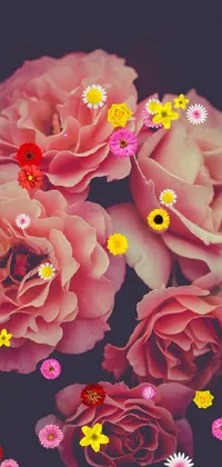 Flower Photograph Plant Live Wallpaper