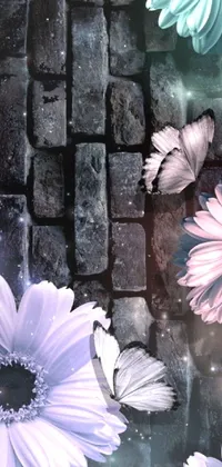 Flower Photograph Plant Live Wallpaper