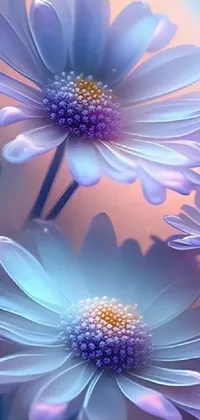 clw_1707968472429 Live Wallpaper