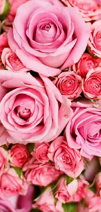 roze boeket Live Wallpaper