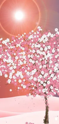 Flower Pink Blossom Live Wallpaper