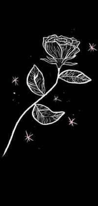 This live phone wallpaper features a beautiful black background drawing of a rose