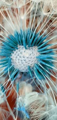 This live wallpaper showcases a stunningly detailed white and blue flower set against a mesmerising background of floating fungal polyps, cactus spines, puffballs, and sea creatures