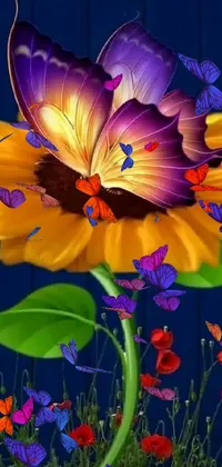 This live wallpaper features a vibrant sunflower with a butterfly resting on it