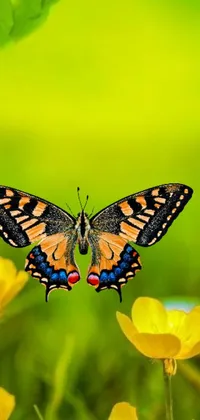 This stunning phone live wallpaper features a vibrant butterfly resting upon a cheerful yellow flower amidst a lush green meadow