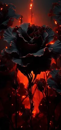 Flower Plant Atmosphere Live Wallpaper