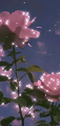 Flower Plant Atmosphere Live Wallpaper