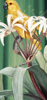 Flower Plant Bird Live Wallpaper