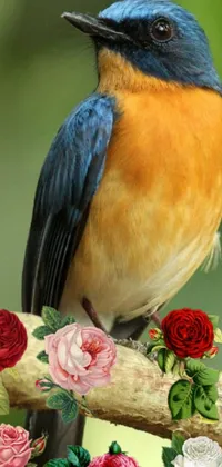 This phone live wallpaper showcases a stunning digital rendering of a blue and orange bird perched on a tree branch