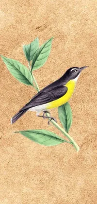 This phone live wallpaper features a realistic painting of a bird perched on a branch set against a yellow background with a grainy texture