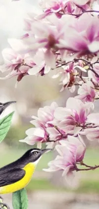 Enjoy the charming beauty of nature on your phone with this delightful live wallpaper