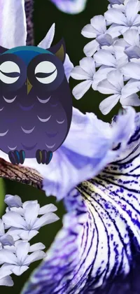 This phone live wallpaper features a stunning owl relaxing on a vibrant purple flower
