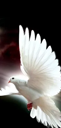 This iPhone live wallpaper features a stunning white dove in mid-flight against a serenely faintly plumed blue sky with clouds