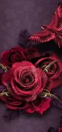 This live phone wallpaper showcases a beautiful red rose and bird on a dark purple background