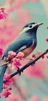 Looking for a stunning live wallpaper for your phone? Look no further than this beautiful scene of a bird perched on a tree branch! With a soft pastel color scheme of blues and pinks and fresh, blooming flowers in the background, this wallpaper perfectly captures the essence of a peaceful spring day
