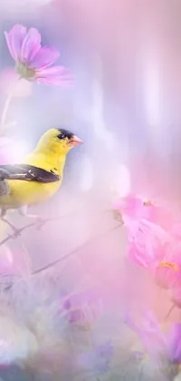 If you're looking for a serene and captivating live wallpaper for your phone, look no further than this charming yellow bird perched atop a lovely purple flower