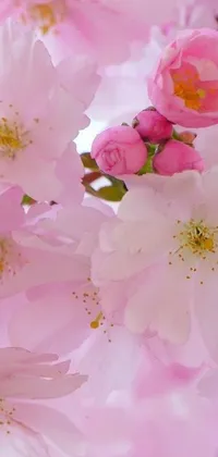 Enjoy the beauty of nature with this romantic live wallpaper for your phone