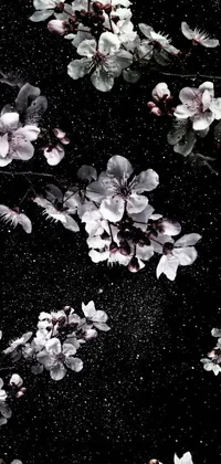 Flower Plant Bloom Live Wallpaper