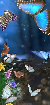 Flower Plant Blue Live Wallpaper