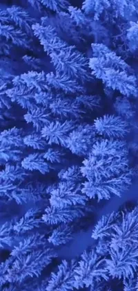 This phone live wallpaper showcases a stunning close-up of snow-covered trees, taken from a microscopic perspective