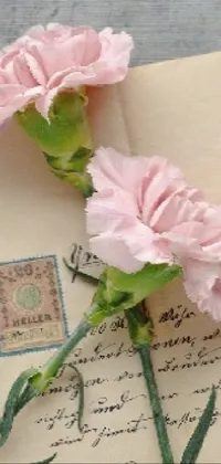 pink flowers Live Wallpaper