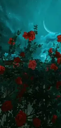 Decorate your phone screen with a stunning live wallpaper featuring a bunch of red roses set against a lush green field