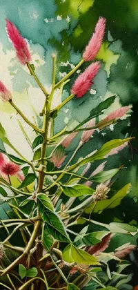 Flower Plant Branch Live Wallpaper