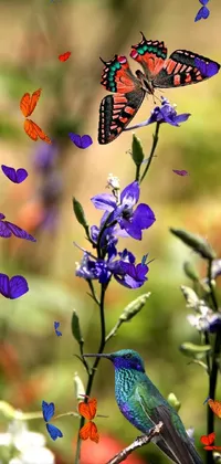 Bring your phone to life with a stunning live wallpaper featuring a colorful bird perched atop a gorgeous purple flower