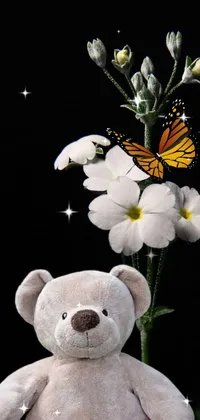 Flower Plant Butterfly Live Wallpaper