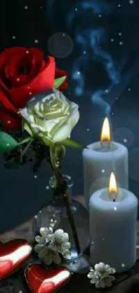 Flower Plant Candle Live Wallpaper
