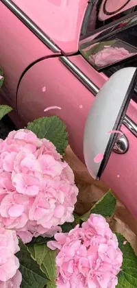 Flower Plant Car Live Wallpaper