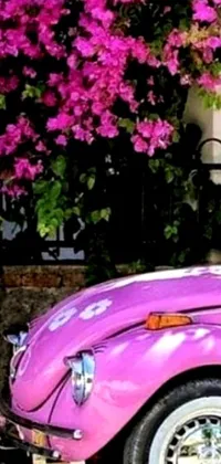 This live phone wallpaper showcases a  campy and vibrant image of a pink Volkswagen Beetle parked in front of a building with colorful bougainvillea flowers framing the car in closeup- view 