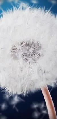 This nature-inspired live wallpaper features a beautiful close-up of a dandelion on a blue background