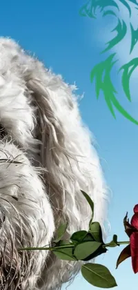 This mobile wallpaper showcases a furry dog with a rose in its mouth set against a sunny sky and a seaweed plume
