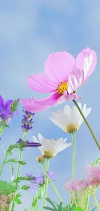 This stunning live phone wallpaper depicts a peaceful blue sky with a vibrant group of purple and white flowers swaying gently in the breeze