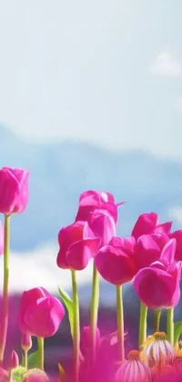 This phone live wallpaper showcases a vibrant field of pink tulips against a breathtaking mountain range in the background, making it a perfect digital art masterpiece that is currently trending on Pixabay