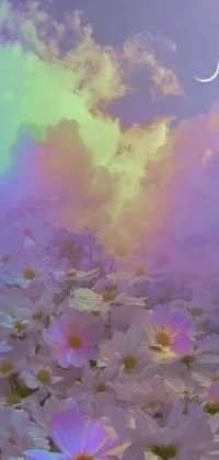 Flower Plant Cloud Live Wallpaper