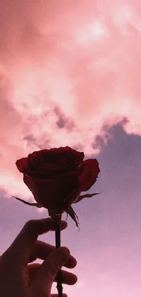 This stunning phone live wallpaper showcases a beautiful scene of someone holding a flower against a cloudy backdrop